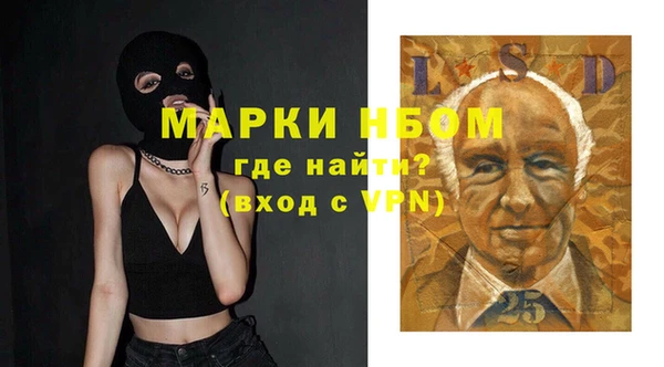шишки Аркадак