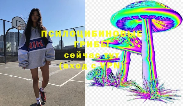 шишки Аркадак