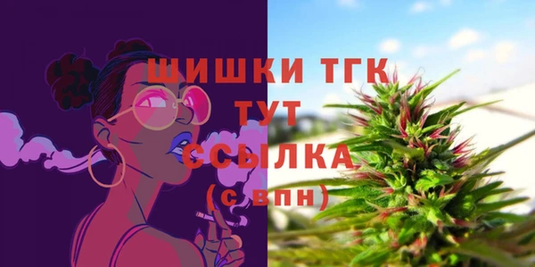 шишки Аркадак