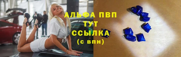 шишки Аркадак