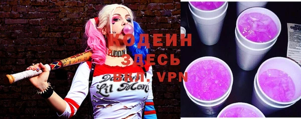 гашик Арсеньев