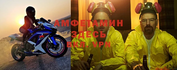 шишки Аркадак