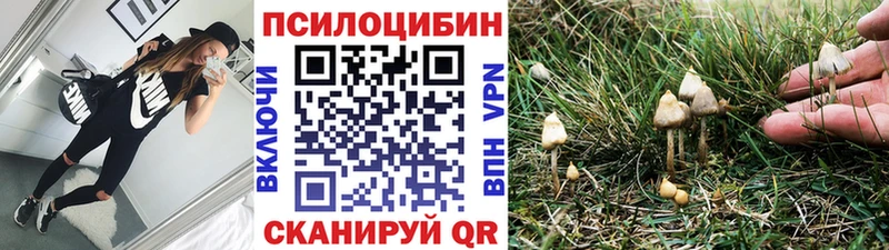 где купить наркотик  Саки  Галлюциногенные грибы Psilocybine cubensis 